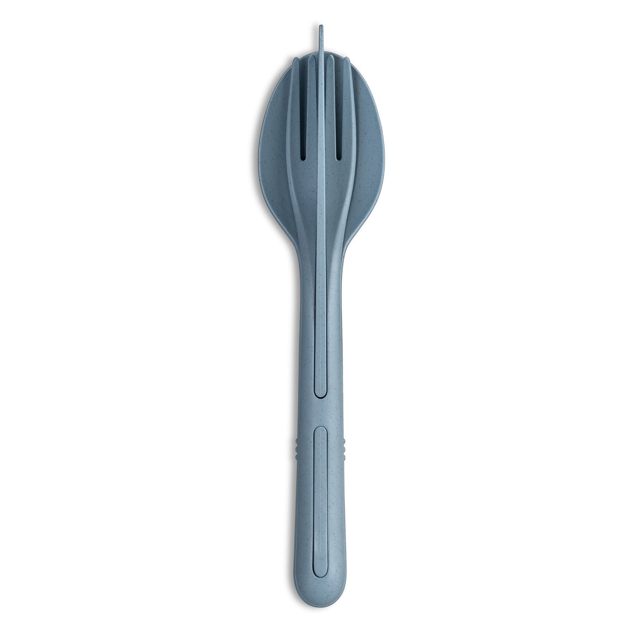 #farbe_nature flower blue