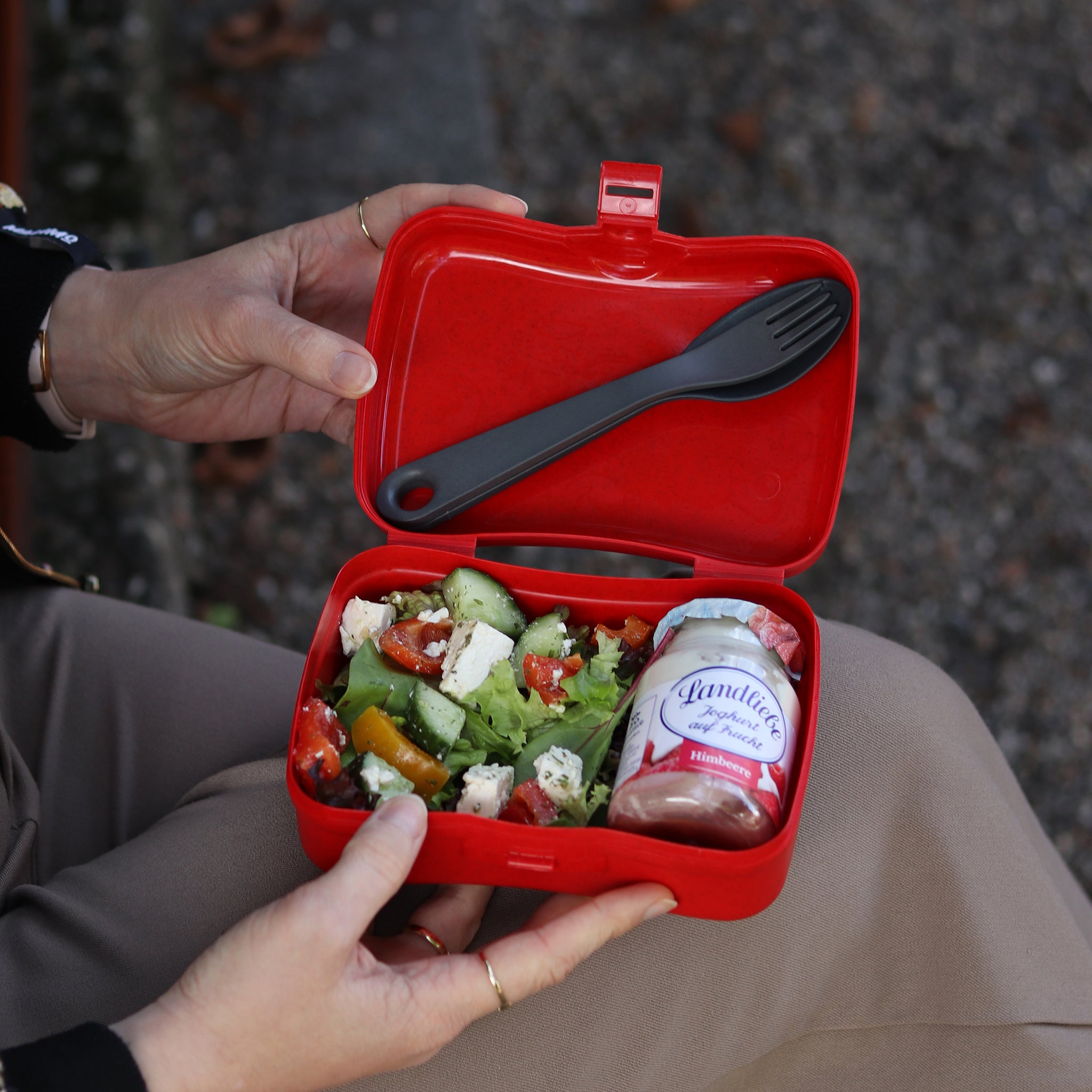 BASIC READY Lunchbox-Set + Besteck-Set
