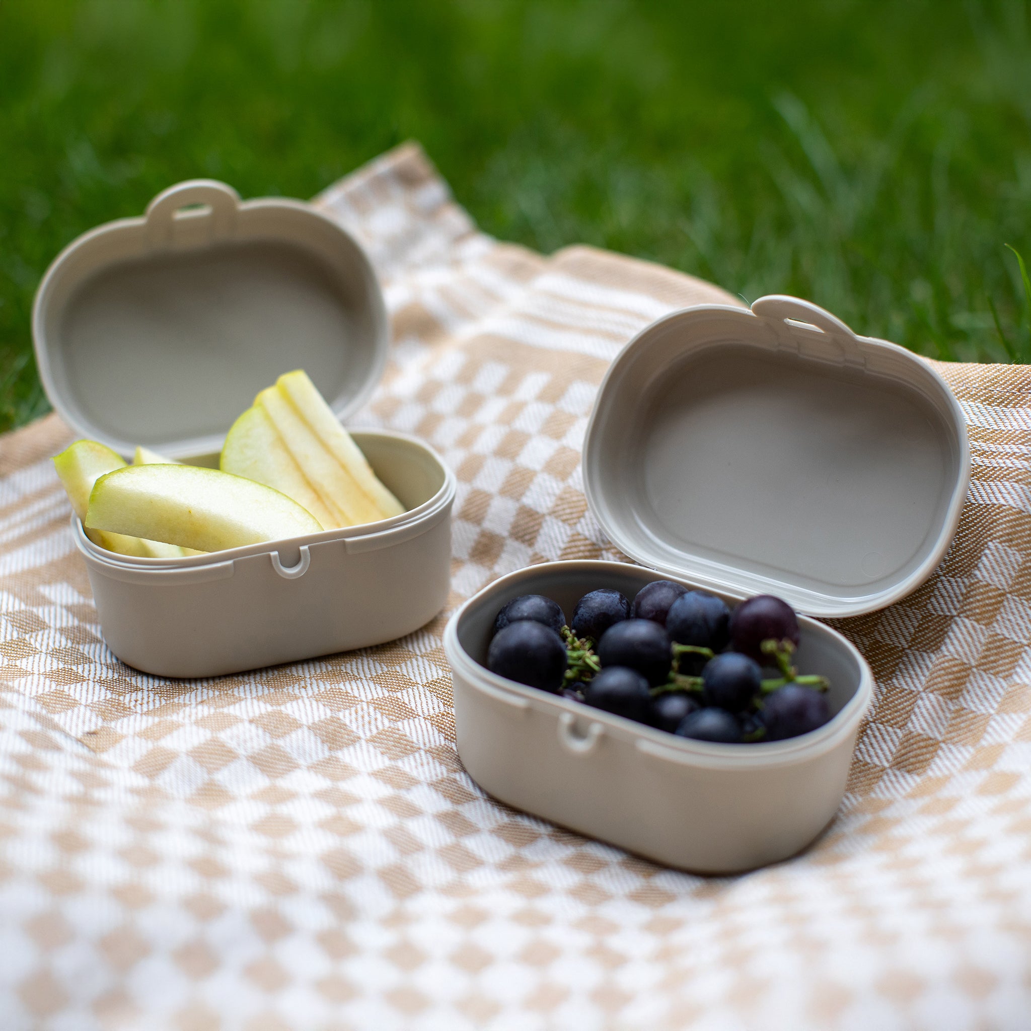 PASCAL MINI Lunchbox