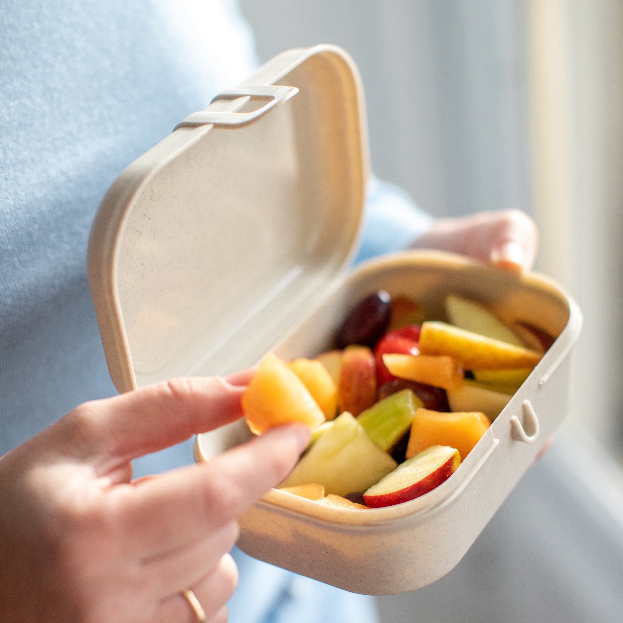 PASCAL S Lunchbox