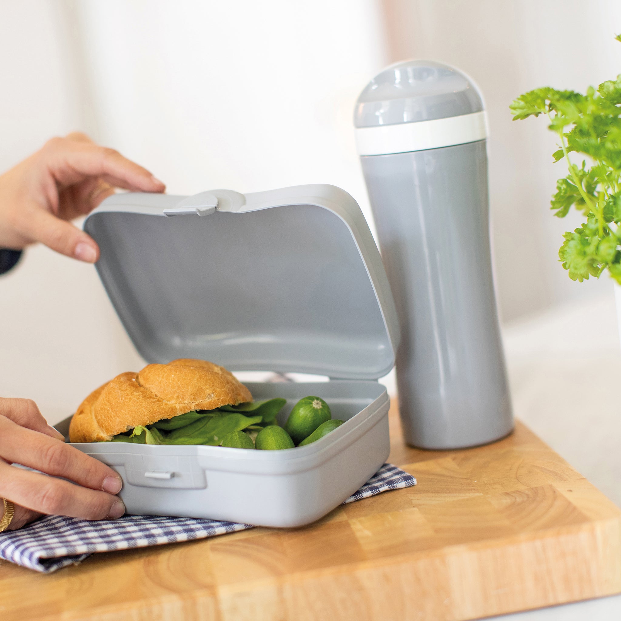 BASIC Lunchbox