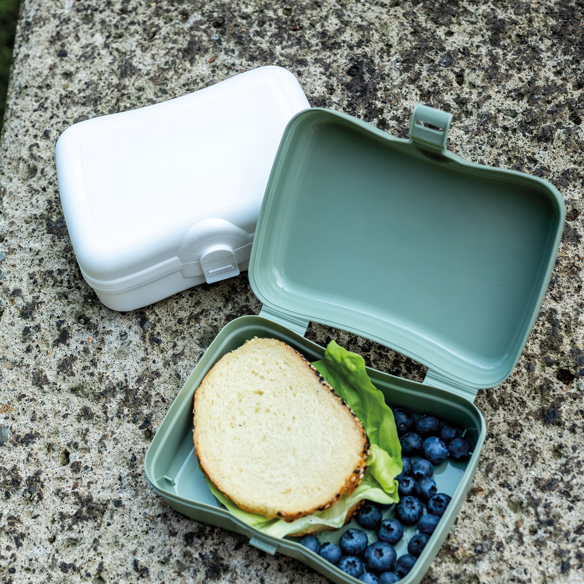 BASIC Lunchbox
