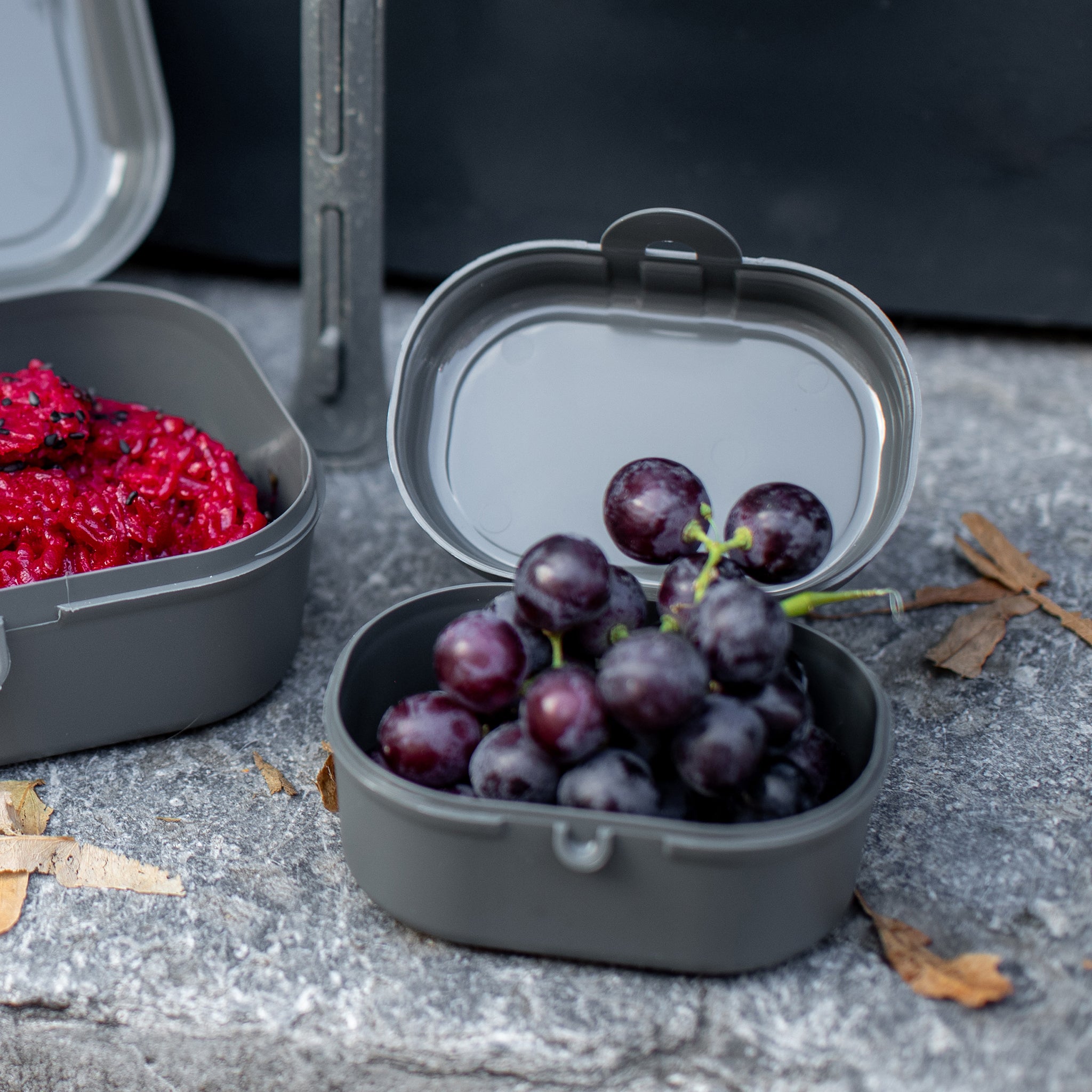 PASCAL MINI Lunchbox