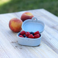 PASCAL MINI Lunchbox
