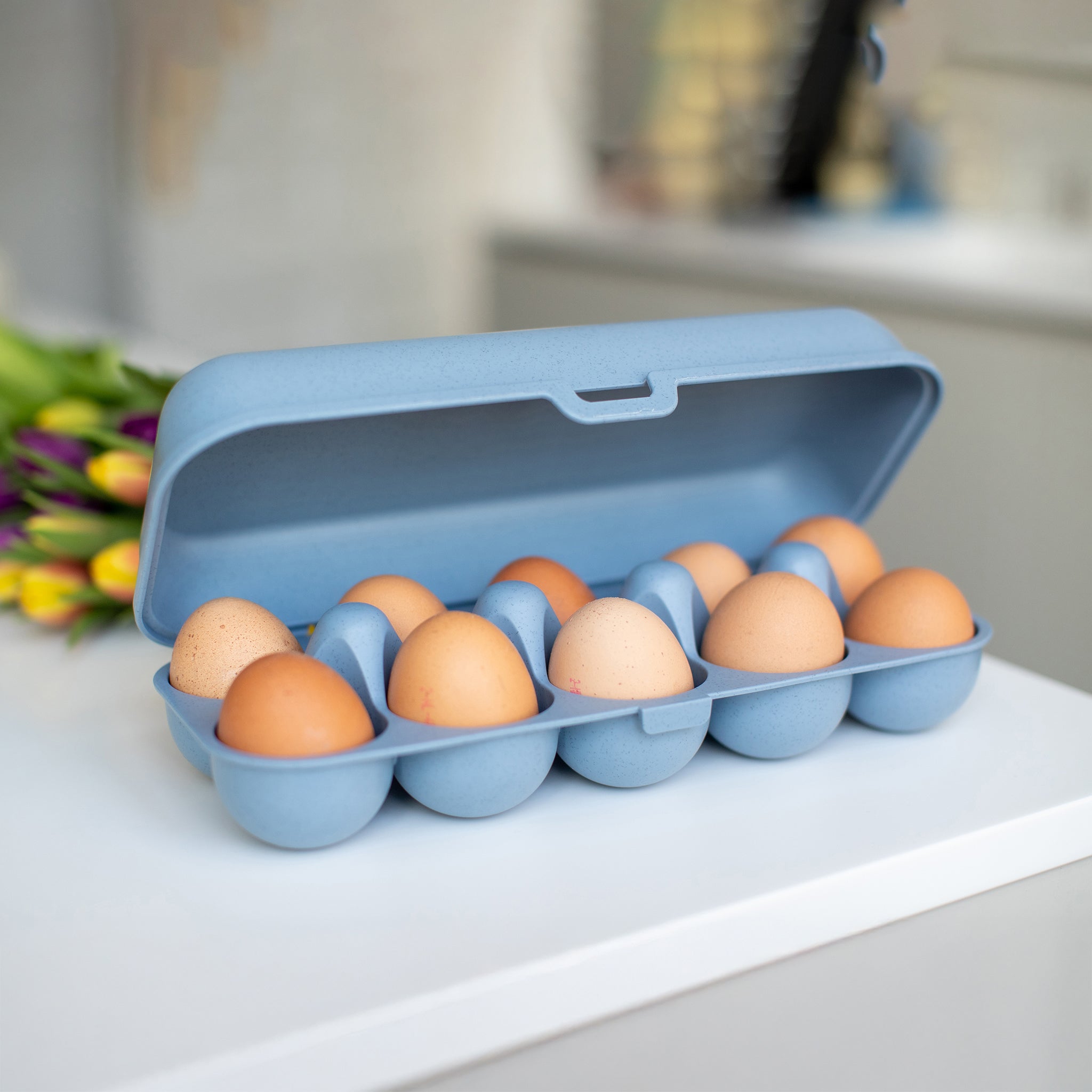 EGGS TO GO Eierbox
