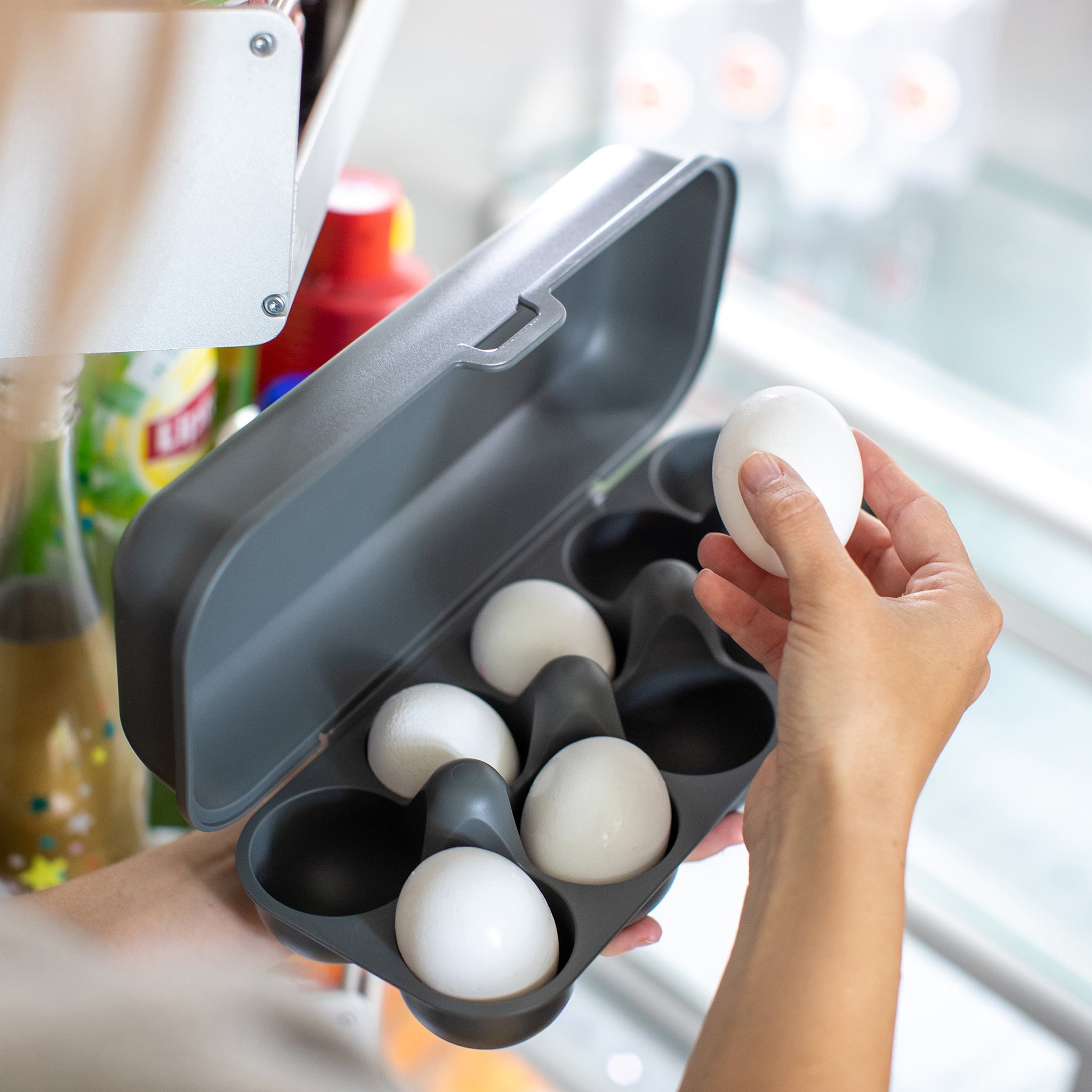 EGGS TO GO Eierbox