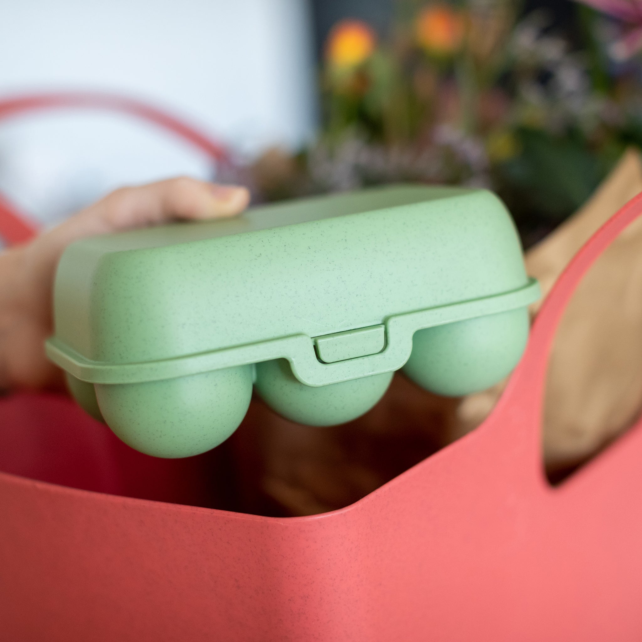 EGGS TO GO MINI Eierbox