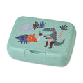#farbe_organic sage green rex
